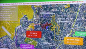 Enterprises are interested in investing in wood industry parks