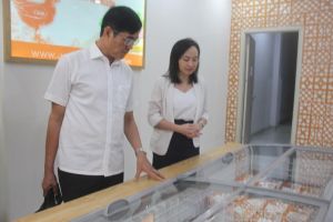 Nhiều doanh nghiệp chủ động phương án sản xuất, cung ứng nguồn hàng cho dịp Tết