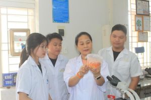 Phát huy vai trò nữ trí thức