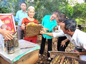 Thúc đẩy vai trò của phụ nữ trong phát triển kinh tế tập thể