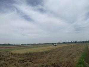 Triển khai nhiều chính sách phát triển cơ giới hóa trong nông nghiệp