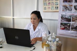 Nghiên cứu thành công mô hình nhân giống và nuôi trồng nấm rơm trên thân lá chuối