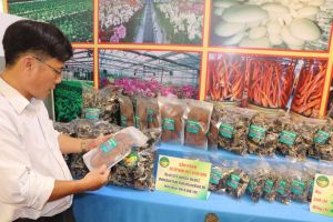 Nhiều thuận lợi khi phân cấp cho UBND huyện công nhận sản phẩm OCOP