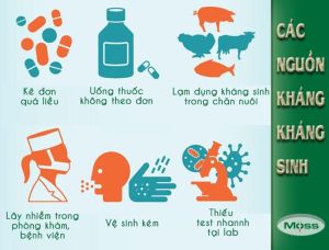 Nhiều nguyên nhân dẫn đến tình trạng kháng kháng sinh