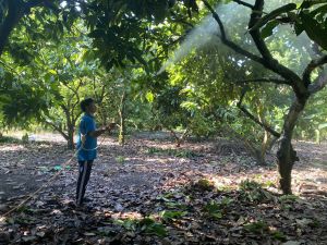 定管县扩大应用IMO生学工业模型至生产