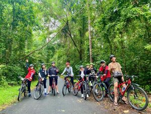 Attracting tourists and visitors to the southeast region