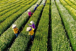 Tổ chức thi sáng tác ảnh về mùa xuân Thống Nhất - Mùa Xuân về
