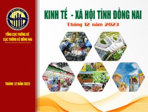Tình hình Kinh tế - Xã hội tỉnh Đồng Nai tháng 12 năm 2023