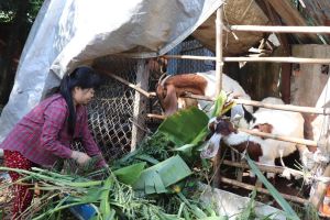Huyện Thống Nhất làm tốt công tác giảm nghèo bền vững