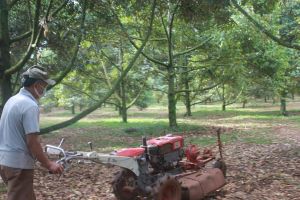 春禄县农民投资生产机器