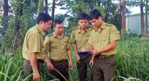 Nỗ lực trong công tác bảo vệ rừng