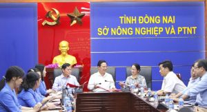 Hợp tác đẩy mạnh phát triển kinh tế hợp tác xã