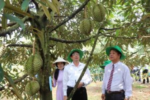 Đồng hành phát triển hợp tác xã nông nghiệp