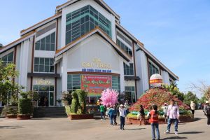 春节旅游市场开始入季