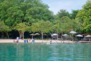 Signs of improvement for the tourism industry in early 2024