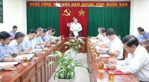 Accelerate the site handover of the Bien Hoa - Vung Tau expressway project