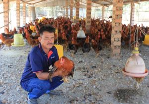 Abundant specialties supplied to the Tet market