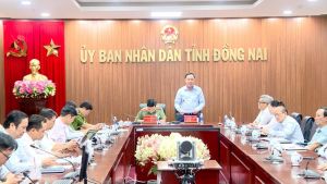 Cần tập trung thực đầy đủ, có hiệu quả các nhiệm vụ Đề án 06