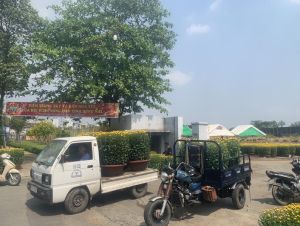 Hỗ trợ nông dân H.Thống Nhất bán hoa Tết