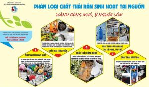 Phấn đấu 20% hộ gia đình và 100% cơ quan phân loại rác