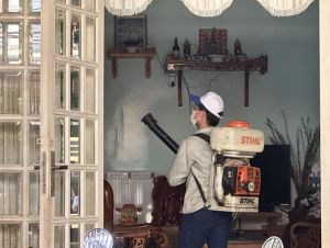Tình hình dịch bệnh tay chân miệng và sốt xuất huyết trên địa bàn tỉnh