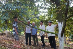 Ấp Đồi Rìu xã Hàng Gòn (TP.Long Khánh) chuyển mình