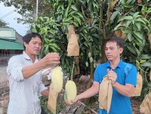 Xuân về trên khắp vùng nông thôn mới