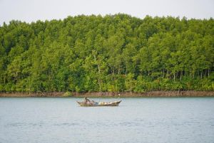 Đồng Nai triển khai 6 nhiệm vụ về rừng và sử dụng đất