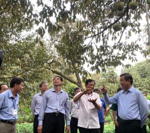 Đồng Nai tiếp tục đi đầu hậu nông thôn mới