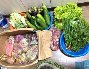 Thực phẩm từ quê: Có thực sự sạch, lành?