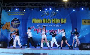 Trao 33 giải hội thi các nhóm nhảy Vũ điệu mùa xuân 2024