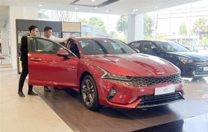 Dong Nai ranks 4th countrywide in automobile consumption