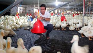 Ngành nông nghiệp tiếp tục đặt mục tiêu cao trong năm 2024