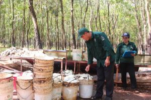 Ổn định đời sống ở vùng đất mới