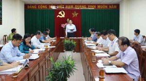 Sớm hoàn thiện hồ sơ xin chuyển đổi đất rừng để xây dựng cầu Phước An