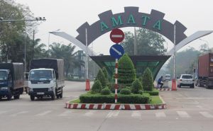 The number of newly registered businesses in Dong Nai is increasing