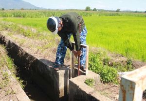 Nhiều giải pháp nước tưới cho sản xuất nông nghiệp vào cao điểm nắng nóng