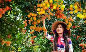 Long Khánh hướng đến phát triển xanh, hiện đại.