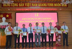 Chú trọng chất lượng kết nạp đảng viên mới