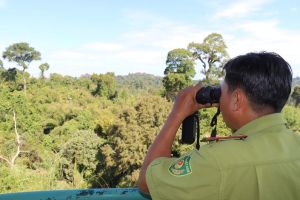 Nỗ lực phòng, chống cháy rừng mùa khô