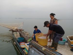 Bám sông nước để mưu sinh