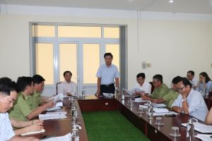 Tăng cường bảo vệ cây ươi mùa ra quả