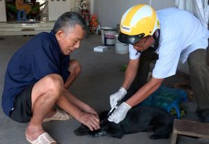 Bộ Nông nghiệp và PTNT chỉ đạo về phòng, chống bệnh dại