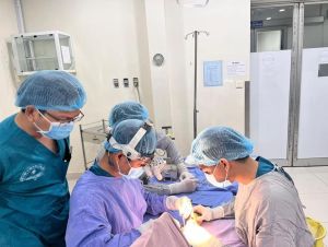 Phẫu thuật che khuyết hổng da đầu rất hiếm gặp cho bệnh nhân