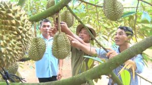 Gương nông dân làm kinh tế giỏi