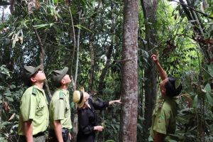 Bảo vệ cây ươi mùa ra quả