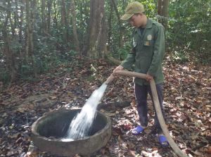 Triển khai phương án cung cấp nước sạch cho động vật rừng