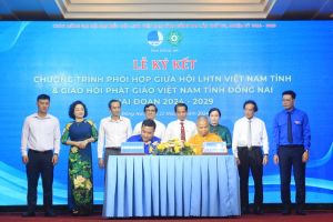 Phối hợp thực hiện các chương trình, hoạt động liên quan đến thanh niên