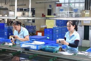 Tạo dựng môi trường làm việc văn hóa, an toàn