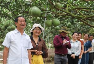 Xây dựng mô hình “Làng văn hóa - du lịch Tân Triều” tiêu biểu phía Nam tại Vĩnh Cửu